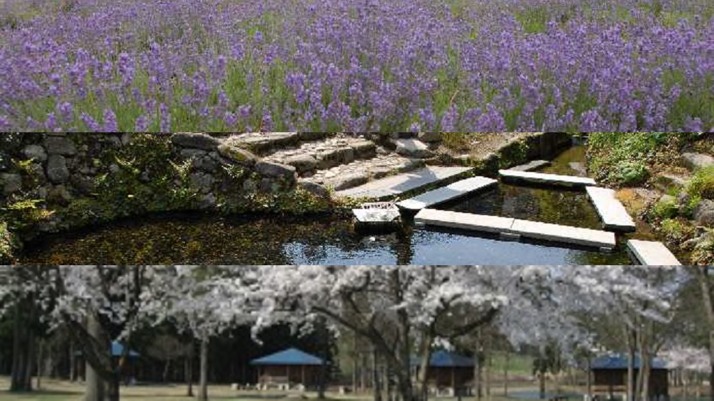 美郷町のイメージ（ラベンダー園（千畑）、御台所清水（六郷）、雁の里山本公園（仙南））